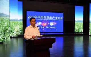 e本科技 “把芝麻点大的事做到极致”——一家93年老字号企业的强信心样本观察