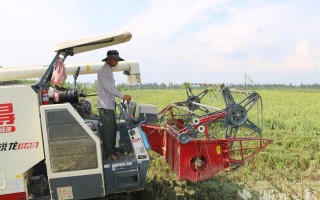 成都兴光科技 从插秧到“出圈” 一粒米长出产业链