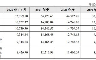 沃施科技 大叶工业IPO：境外销售额占比95%，主做贴牌毛利率仍远高同行
